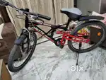 Avon Gutts Bicycle
