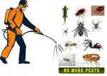 PEST CONTROL SERVICES IN CHENNAI WITH LOWPRICE AND WARRANTY