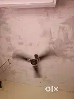 Ceiling Fans
