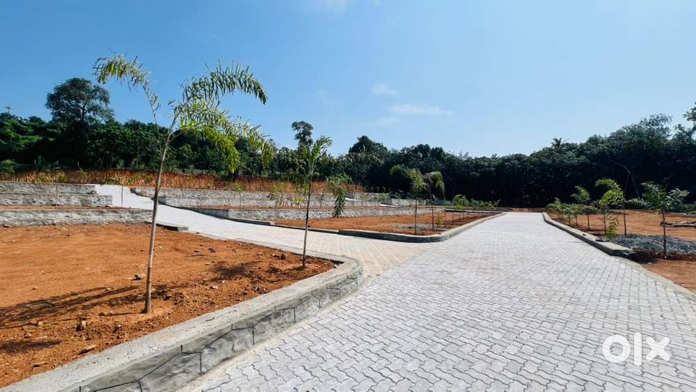Residential Vila Plot Sale Near Infopark Kochi Kakkanad