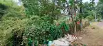 15 cent Residential land for sale in Poochinnipadam, vallachira,Thriss
