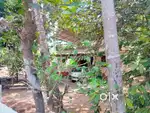 Aluva Kongorpilly bus route front age old house plot for sale ₹8 lakh