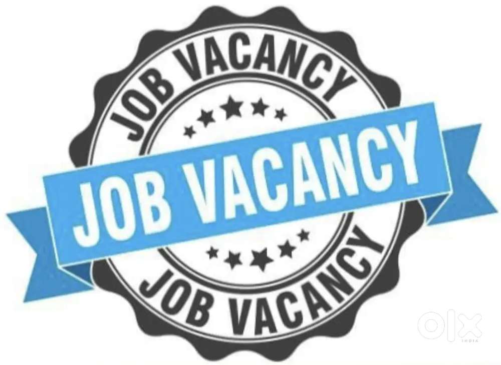 Work Opportunity for fresher and experience for office work