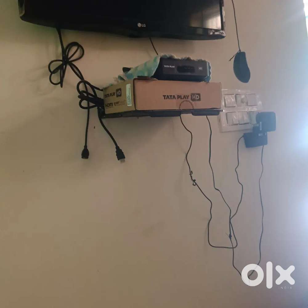 only 2 months old play