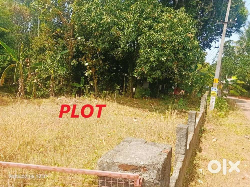 Plot for Sale in Poickattussery, Chengamanadu, Nedumbassery
