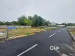 5 AND MORE CENT ORGINAL LAND IN ALUVA PARAVUR ROUTE thattampady