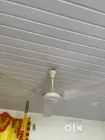 Crompton Greaves Ceiling Fan 1200 mm