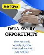 DATA ENTRY WORK
