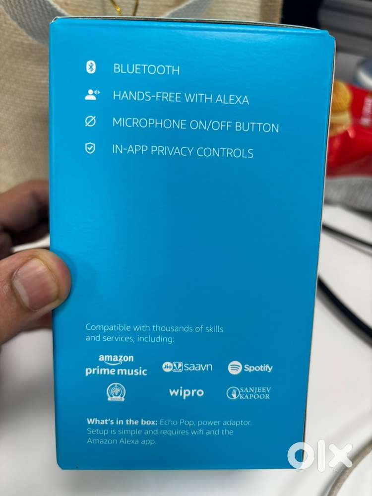 Alexa echo pop