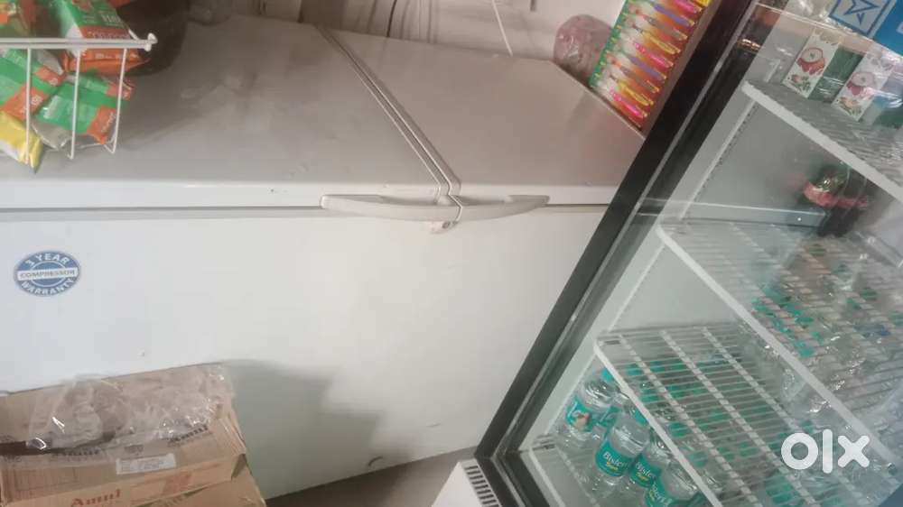 Blue star deepfreez 300