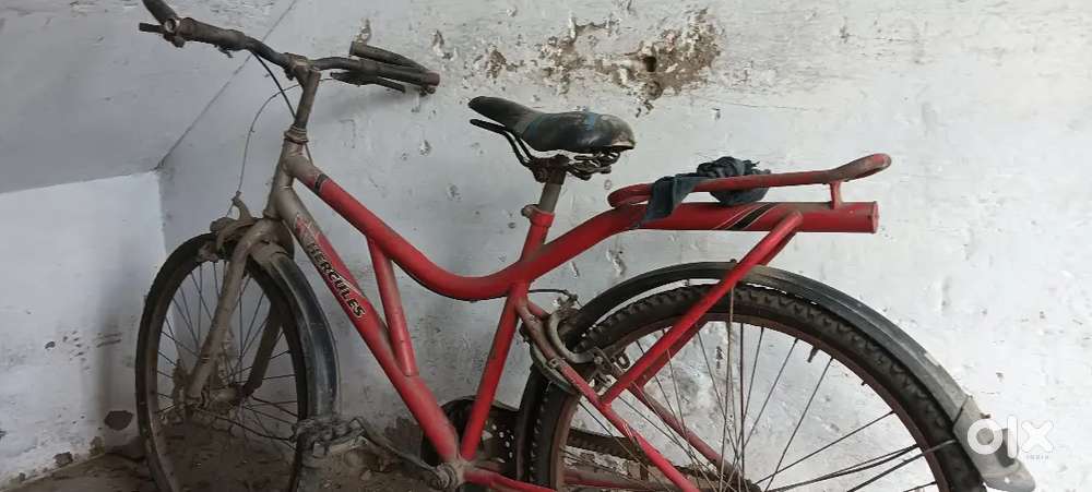 Hercules Cycle