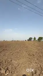 7 acre farm Land sell arecation and Borwater asegao amt