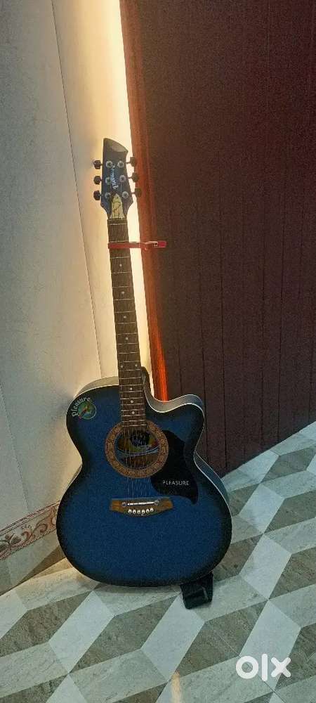 Pleasure 5 star guitar.