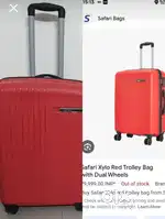 Safari beg