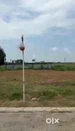321 sq yards plot North East Omaxe Phase 3