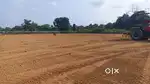 Land land in aluva Nedumbassery near to airport