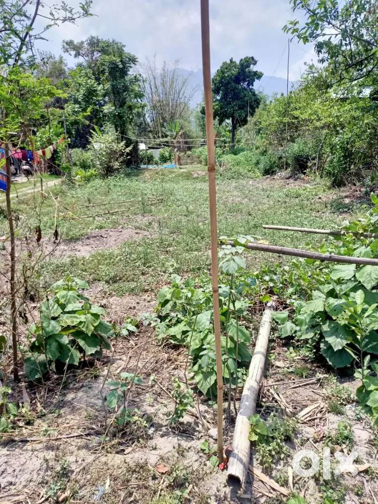 Urgent land on sale