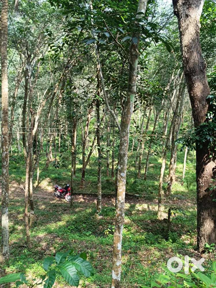 10acre land for sale