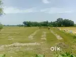 Main road axis 150 ft, it's suit for land developers