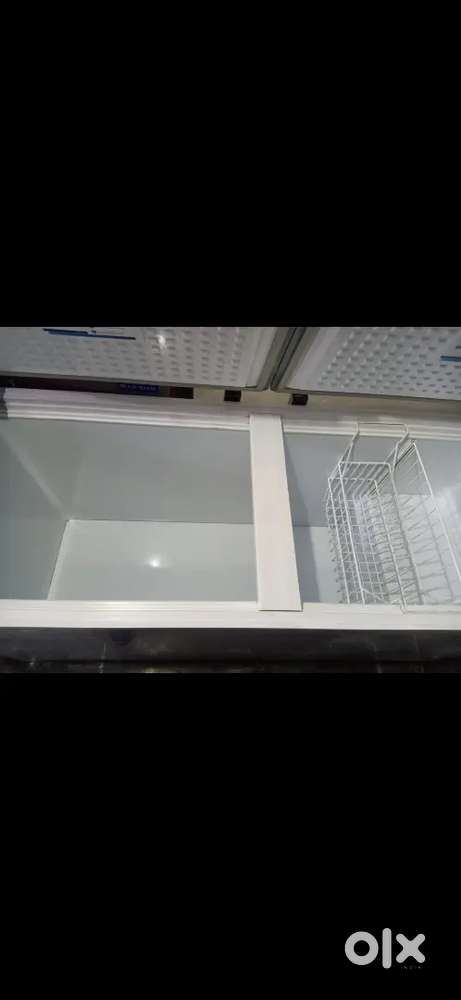 Deep freezer blue star 650L