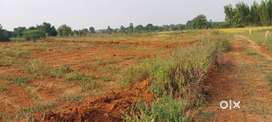 2 acres Agriculture land for sale,27 lakh per Acre,1 km from BT Road