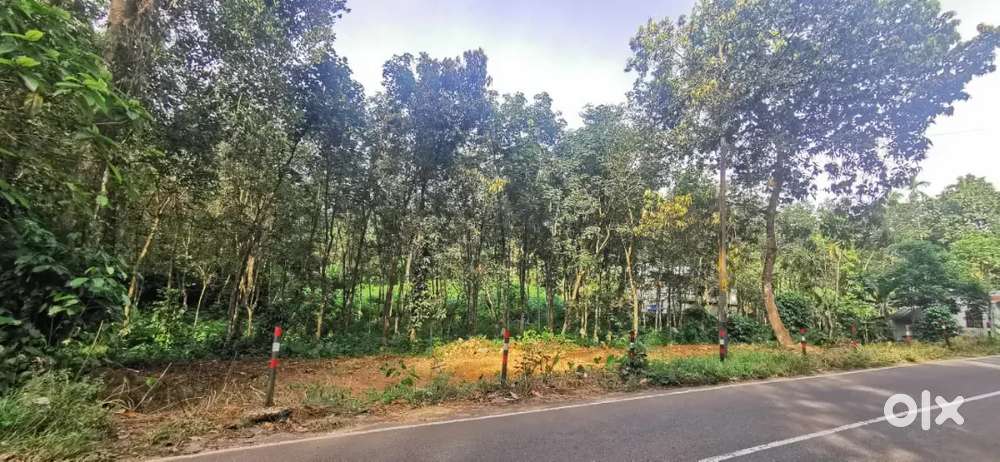 16 cent (Road Side) plot for sale