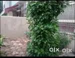 Rent 2 bhk