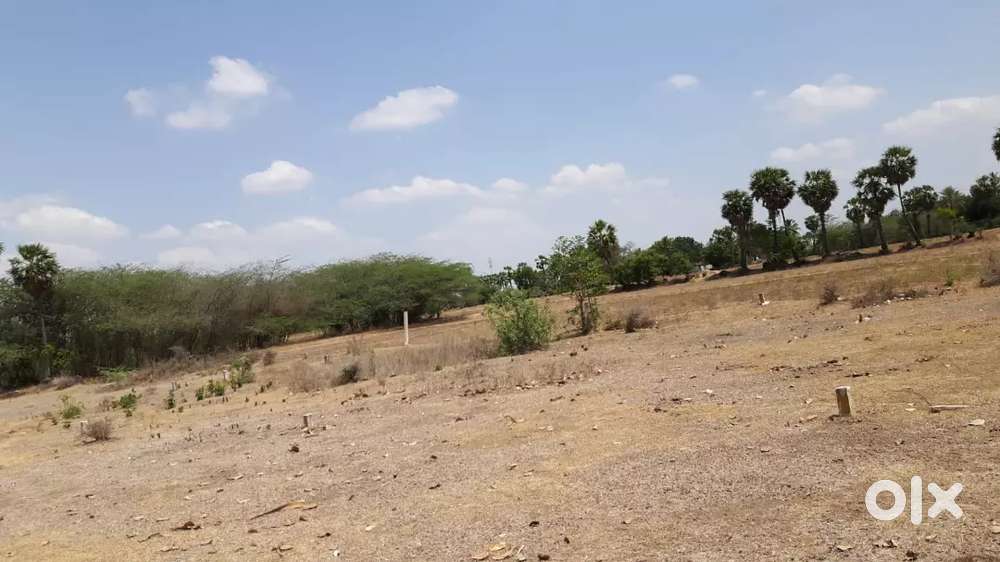 Vacant land for rent