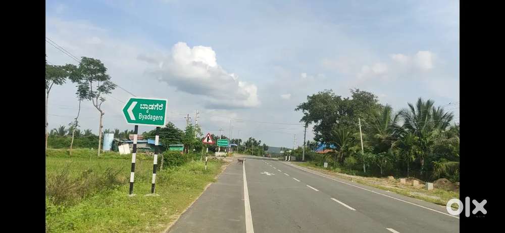 Agriculture farm land