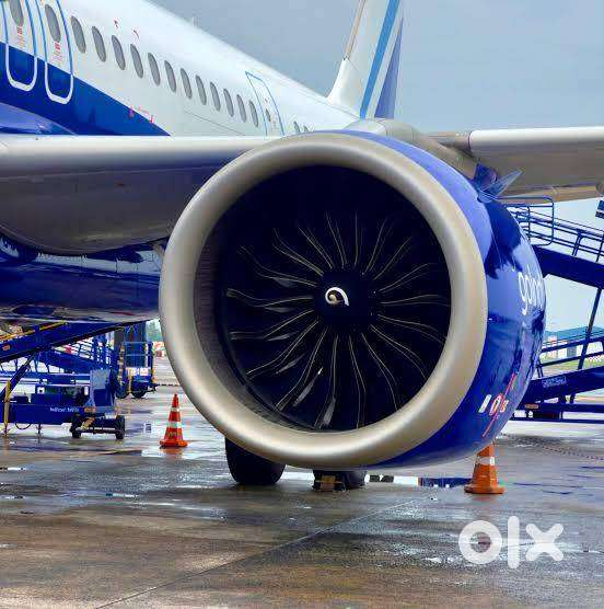 best hiring for ground staff at airport