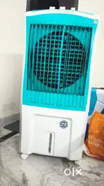 Summergold cooler (11 month old)