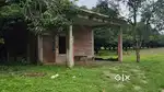 कृषि भूमि खेती करने के लिए 10 बीघा खरीदे डामर रोड से लगा हैं