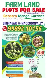 Hyd Warangal Highway 9Kms @ BibiNagar FARM Land Open Plots For Sale