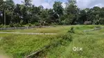 9 cent plot for sale