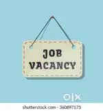 Tele calling, office assistant, team leader, documents handling