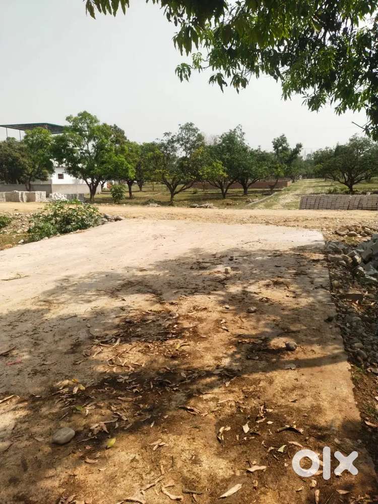 Plot for sale in Shimla bypass