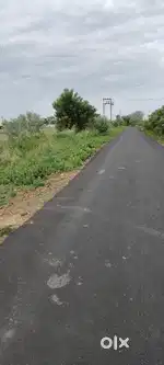 Farming land sale