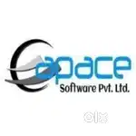 Business Development Executive IT Sales