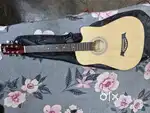 Blueberry guitar
