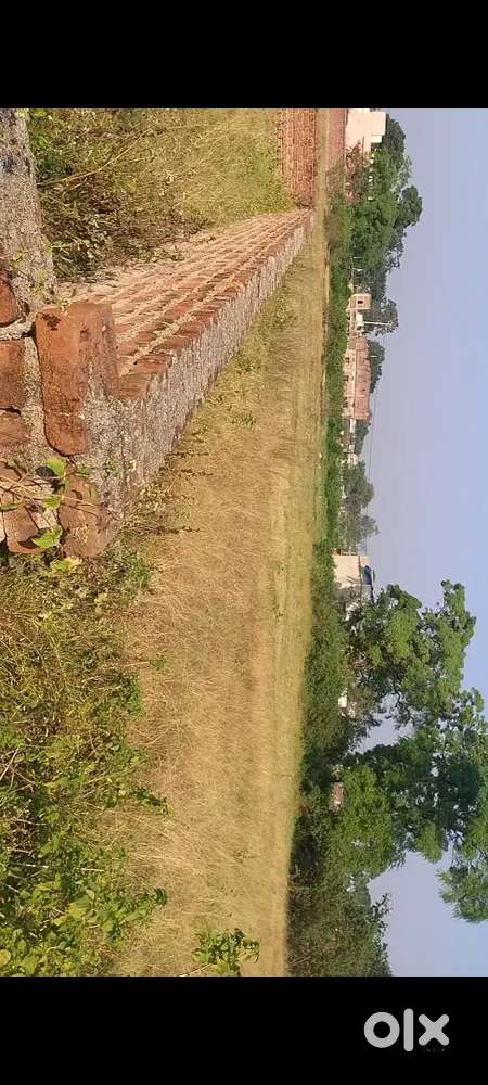 Address badhu patratu Black road ke 400 meter andar