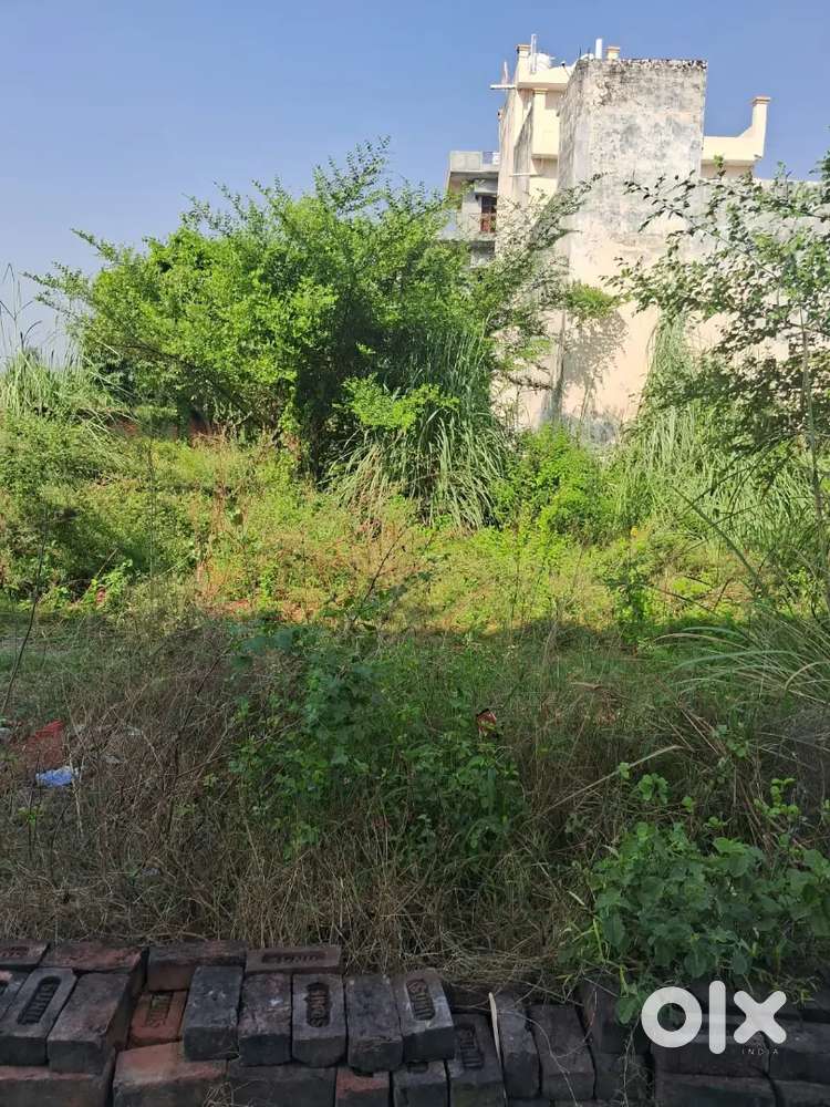 Nh 58 wonder city ka samna Anand vihar colony usme250 mtr andher ha