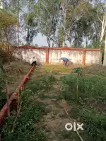 Plot for sale