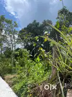 Plot for sale
