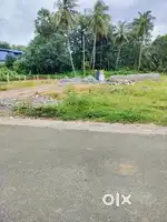 Plot 11 kms from palakkad town