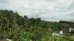 7.5 cents land at Ayyanthole