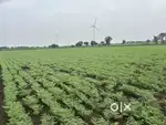 20 acre agricultural land for contract