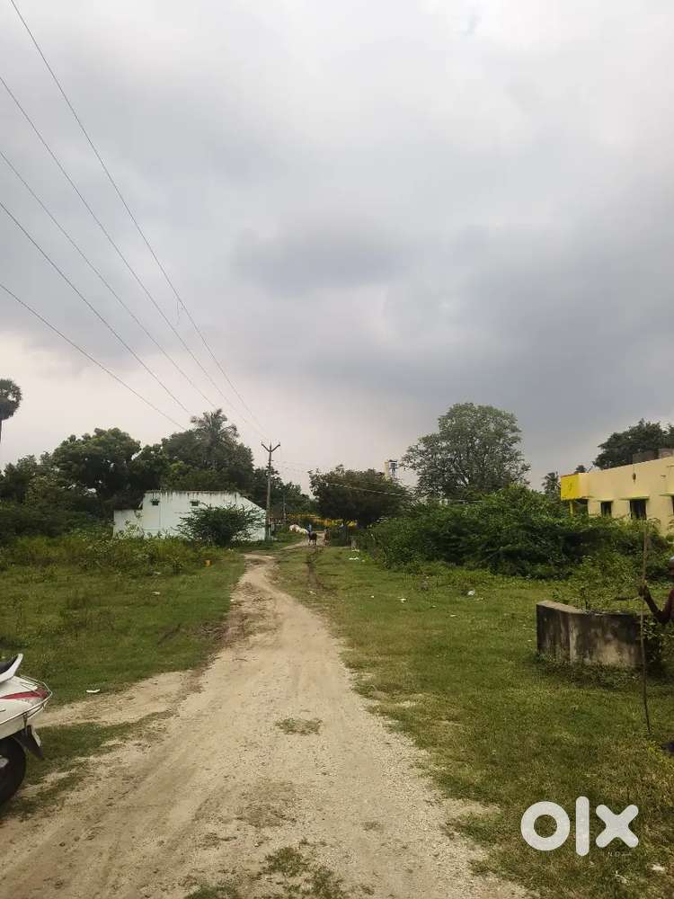 Land for sale in tiruvanamalai.