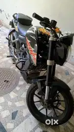 Best price for 200cc segments