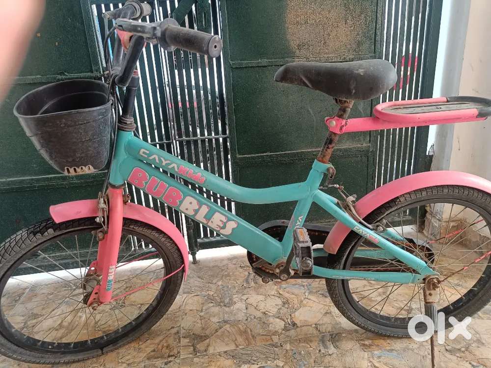 Pink and blue cycle of company caya