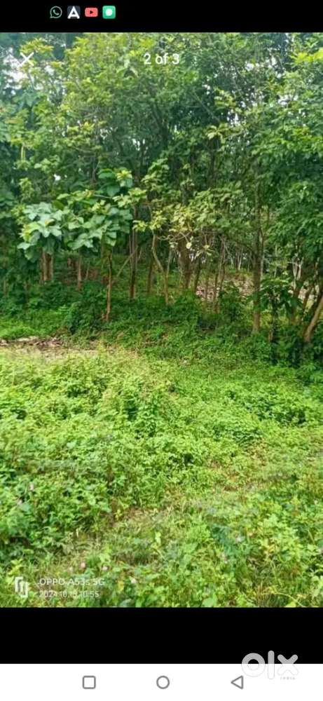 Plot for urgent sale